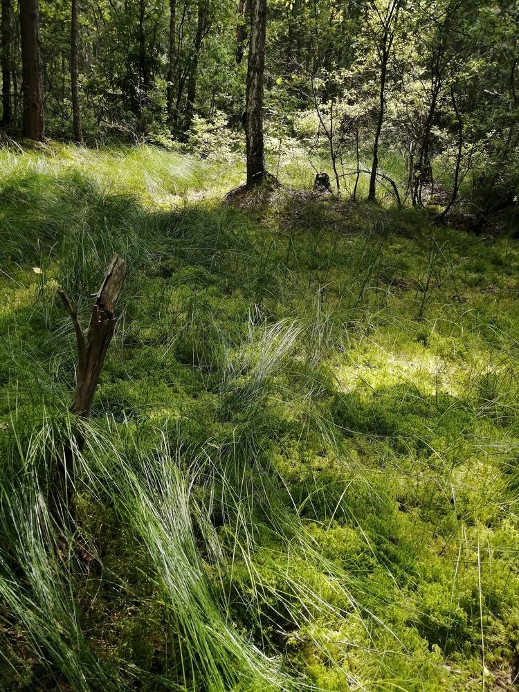 Photograph by Светлана Смердова