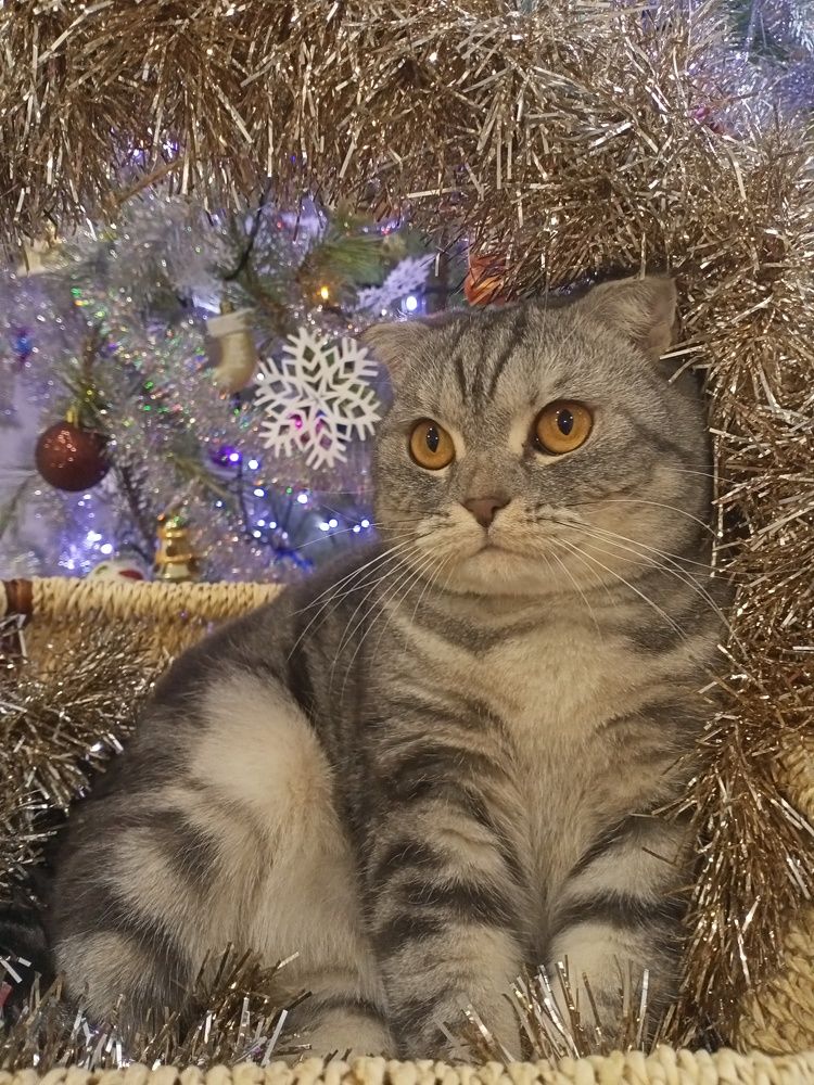Photograph by Рината Загидуллина