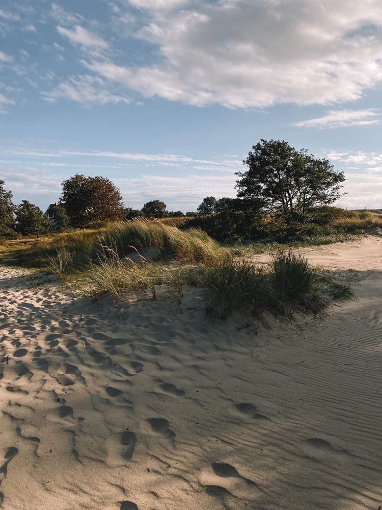 Photograph by Алиса Нежинская