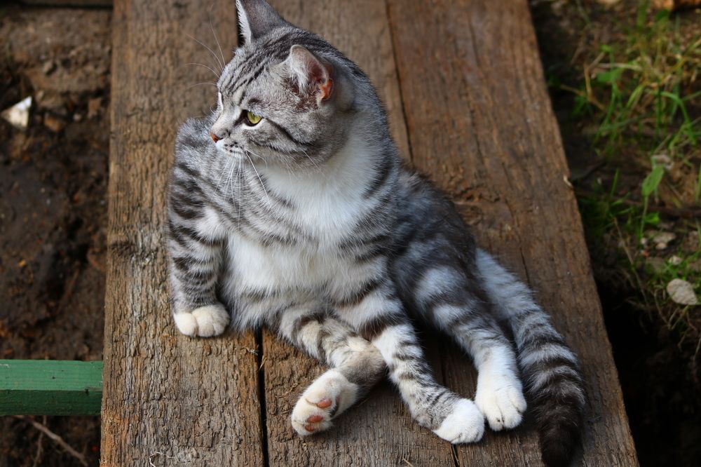 Photograph by Светлана Шуткова