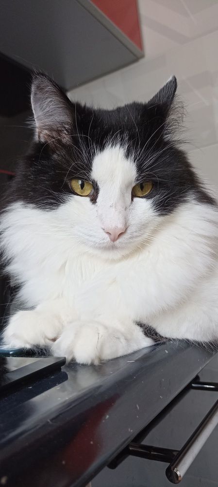 Photograph by Надежда Ржевская