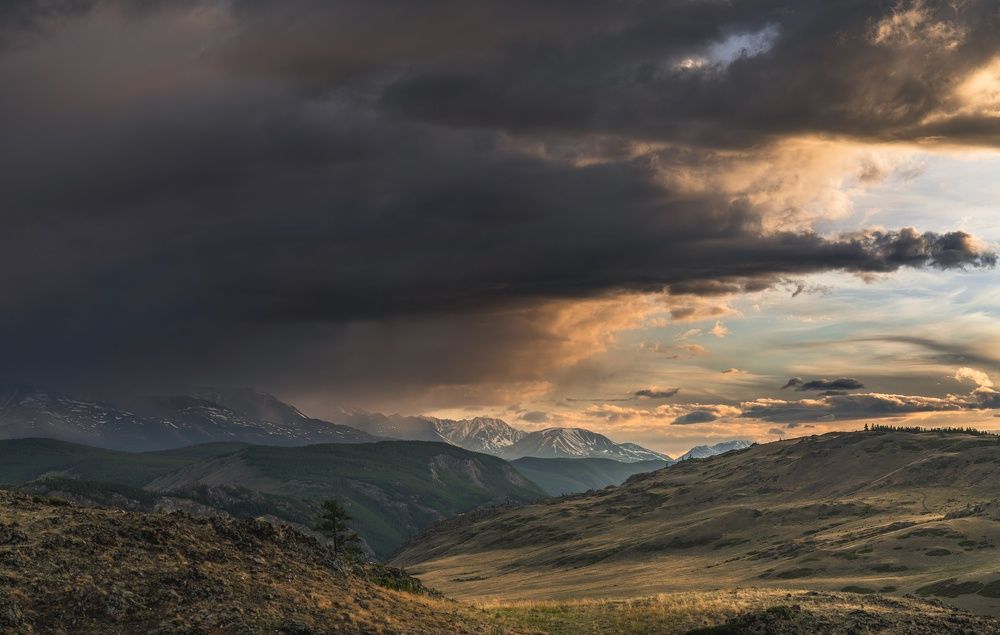 Photograph by Denis Koshkin