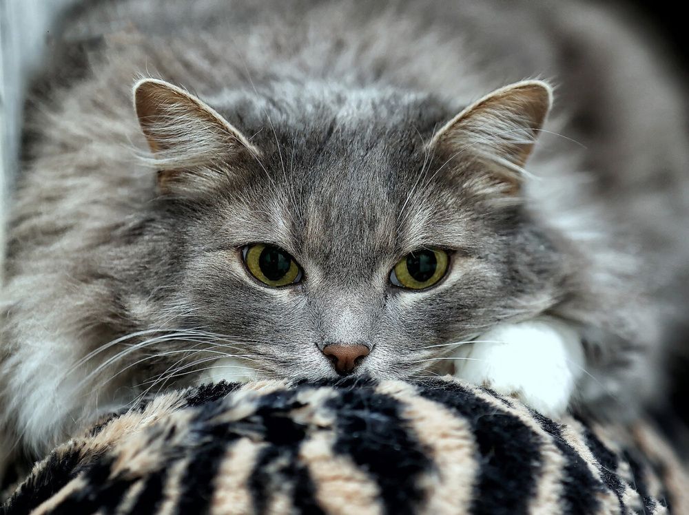 Photograph by Андрей Автухов