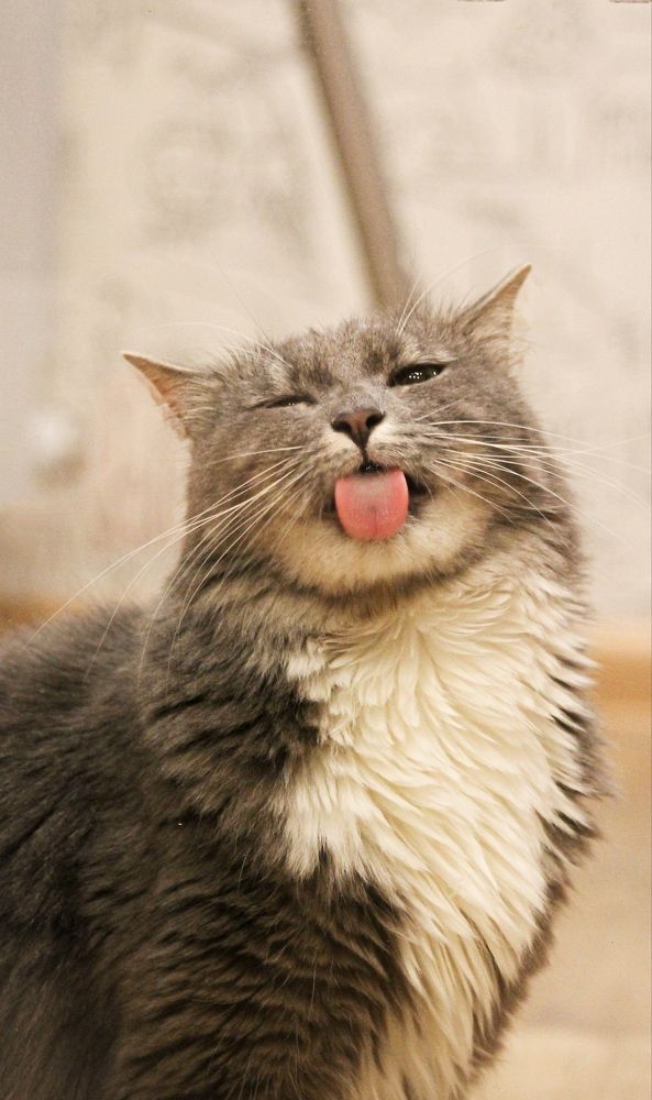 Photograph by Марина Кравцова