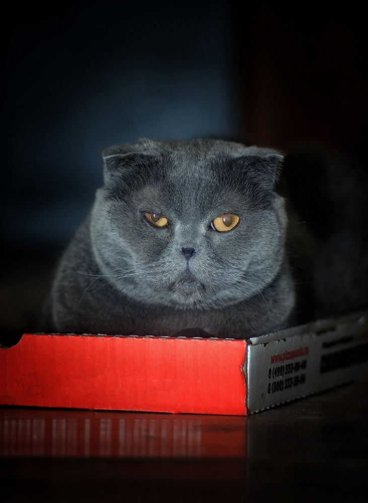 Photograph by Андрей Автухов