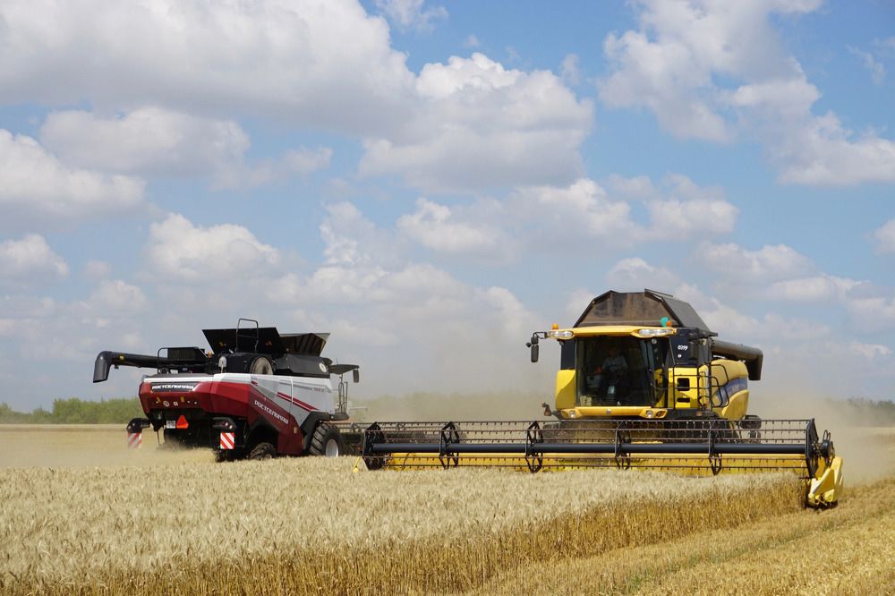 Photograph by Александр Шаталов