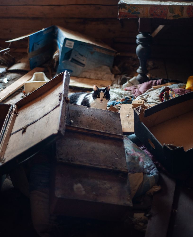 Photograph by Елена Пестрикова