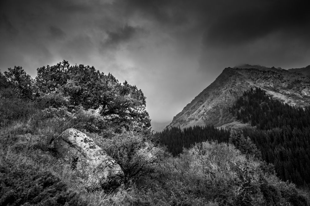 Photograph by alex flash