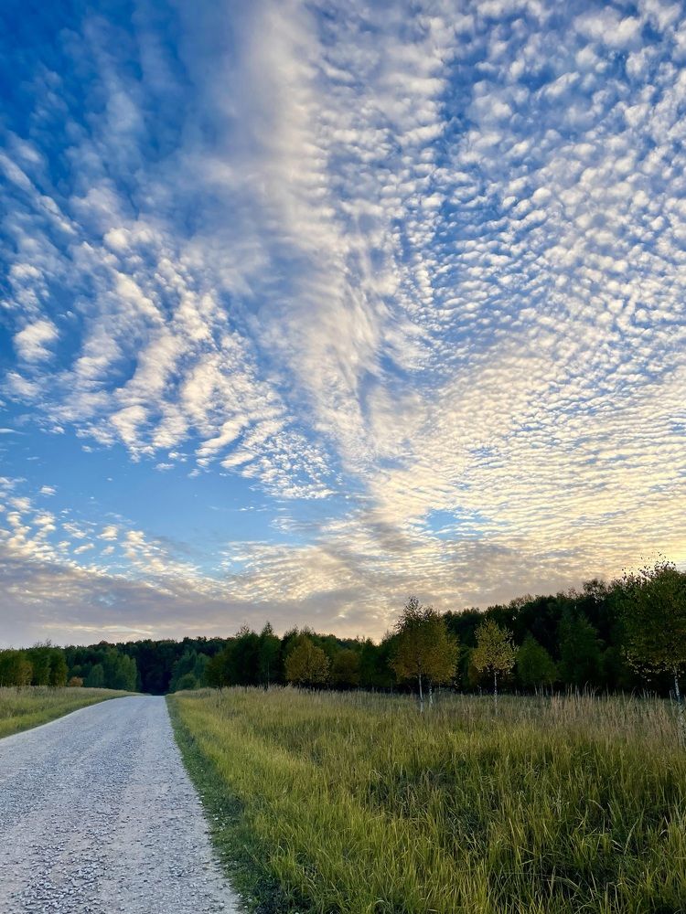 Photograph by Николай Хрупов