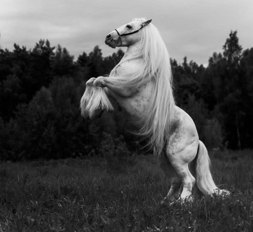 Photograph by svetlana Teteryatnik