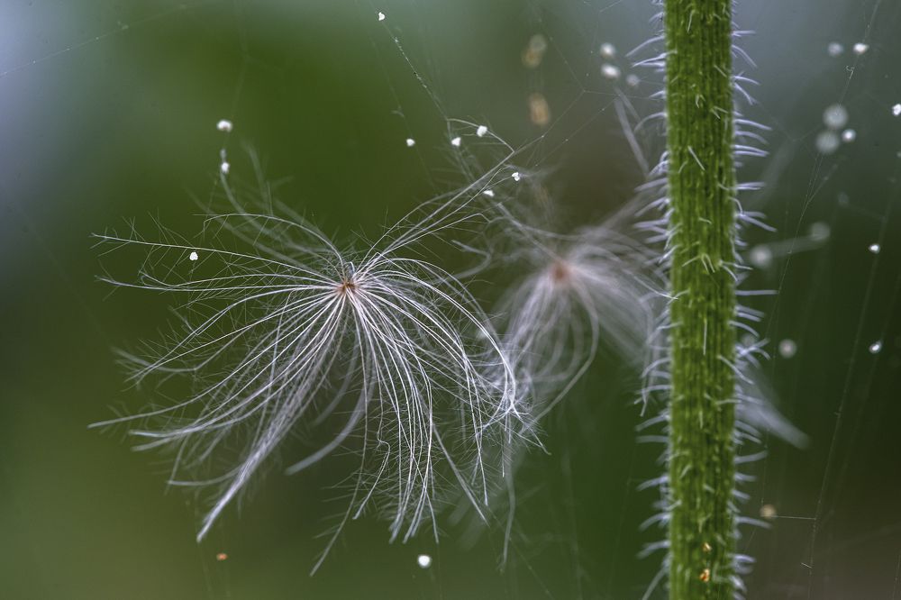 Фотография автора Владимир Пронин