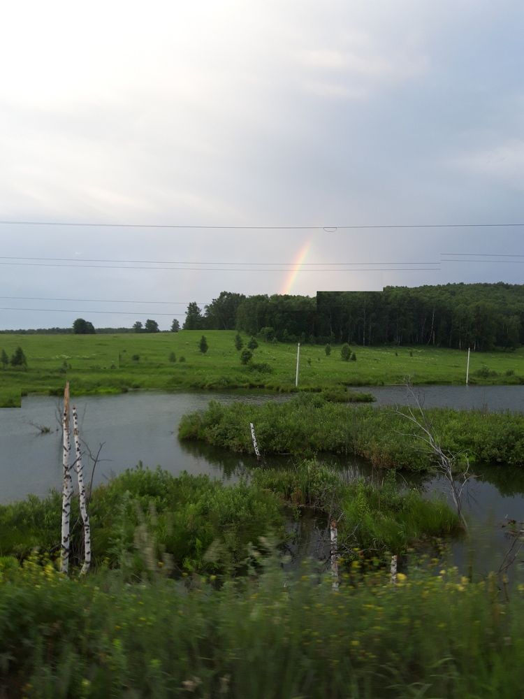 Photograph by Светлана