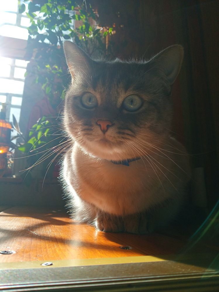 Photograph by Надежда Ржевская