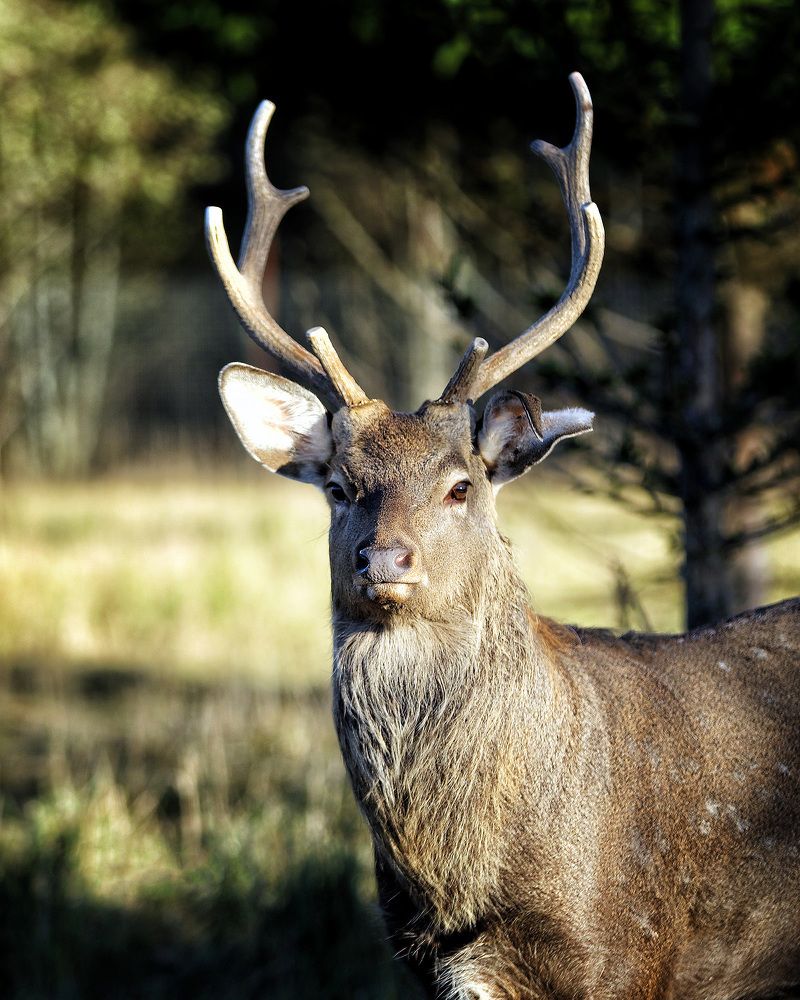 Photograph by Андрей Автухов