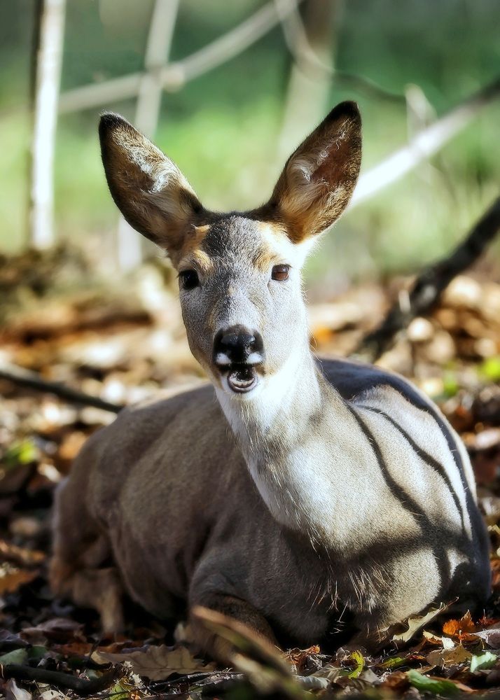 Photograph by Андрей Автухов