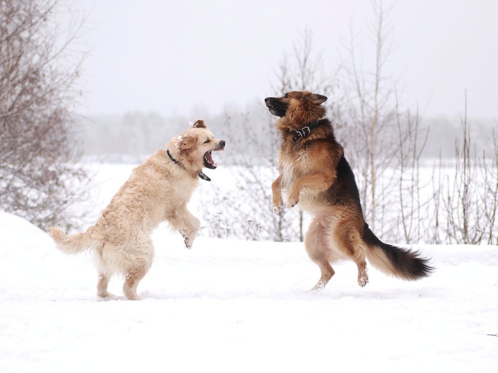 Photograph by Светлана Богомолова