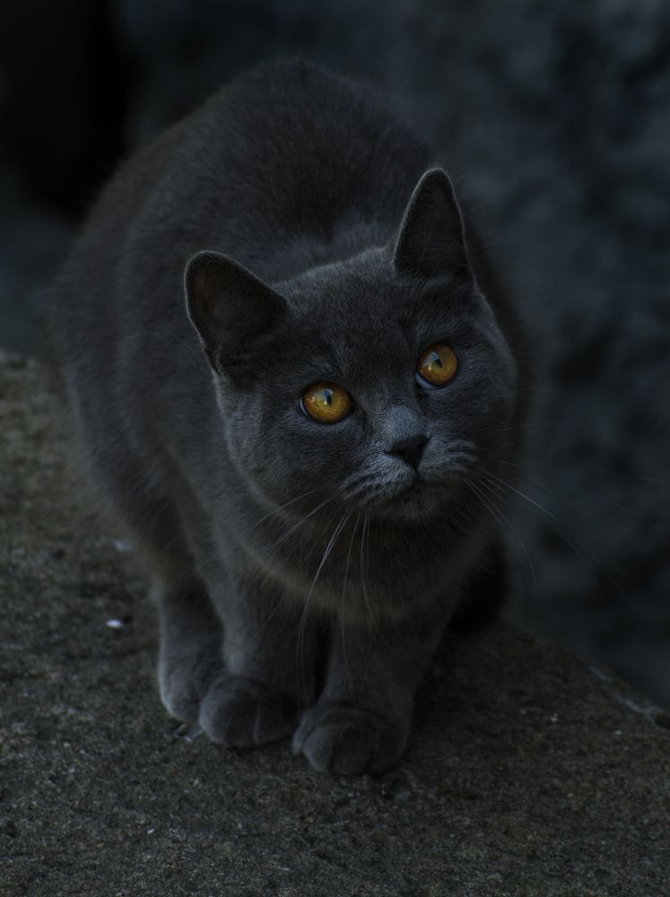 Photograph by Андрей Емельянов