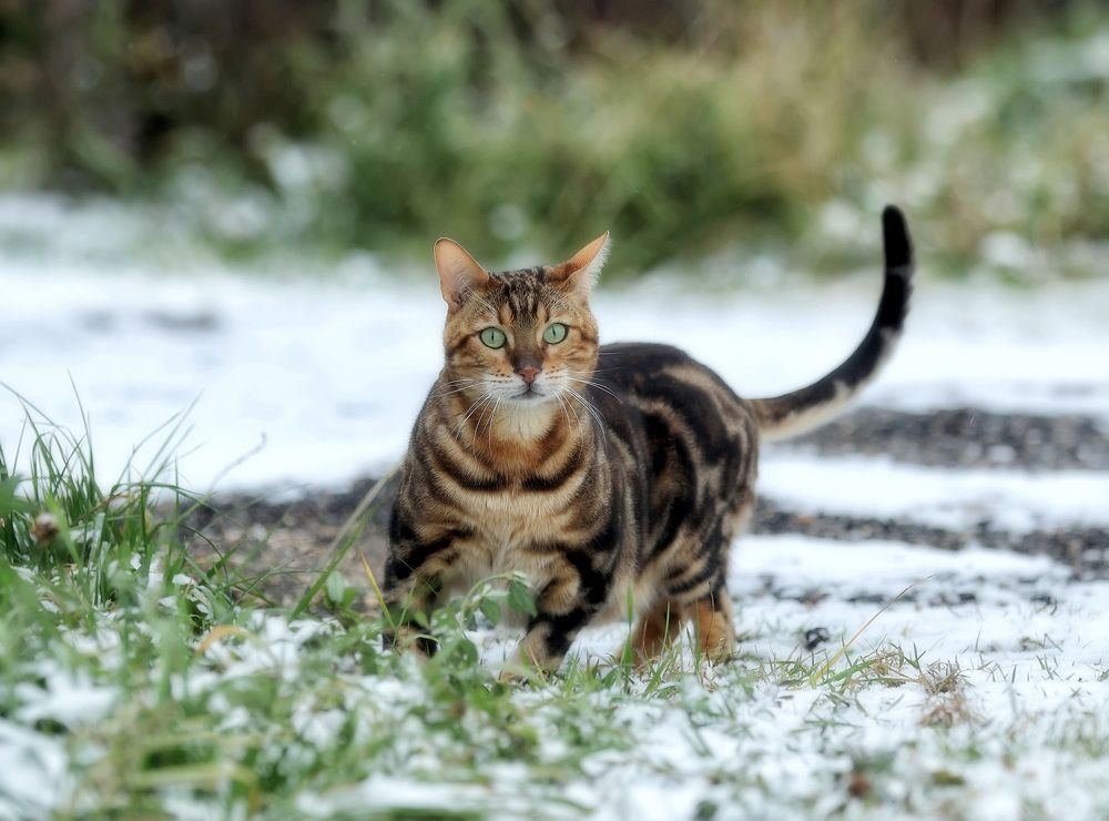 Photograph by Андрей Автухов