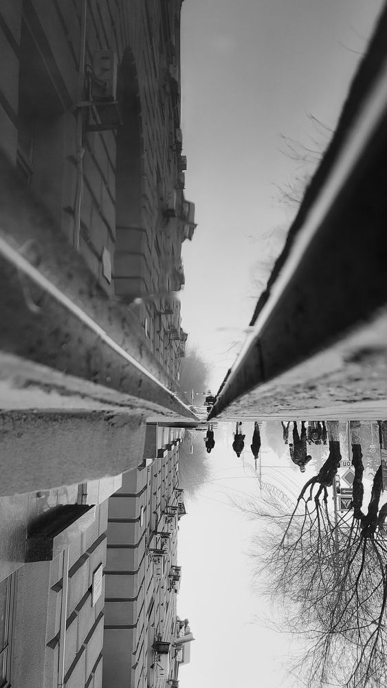 Photograph by Татьяна Бородина