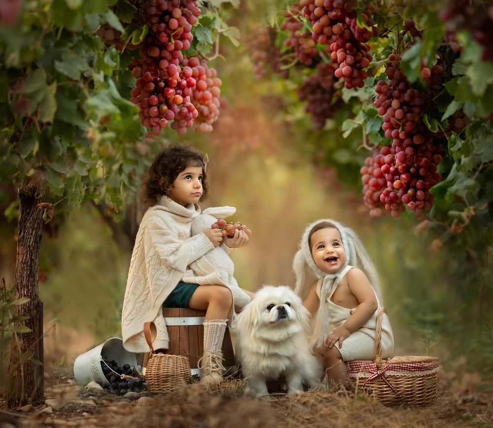 Photograph by Hamutal Avioz