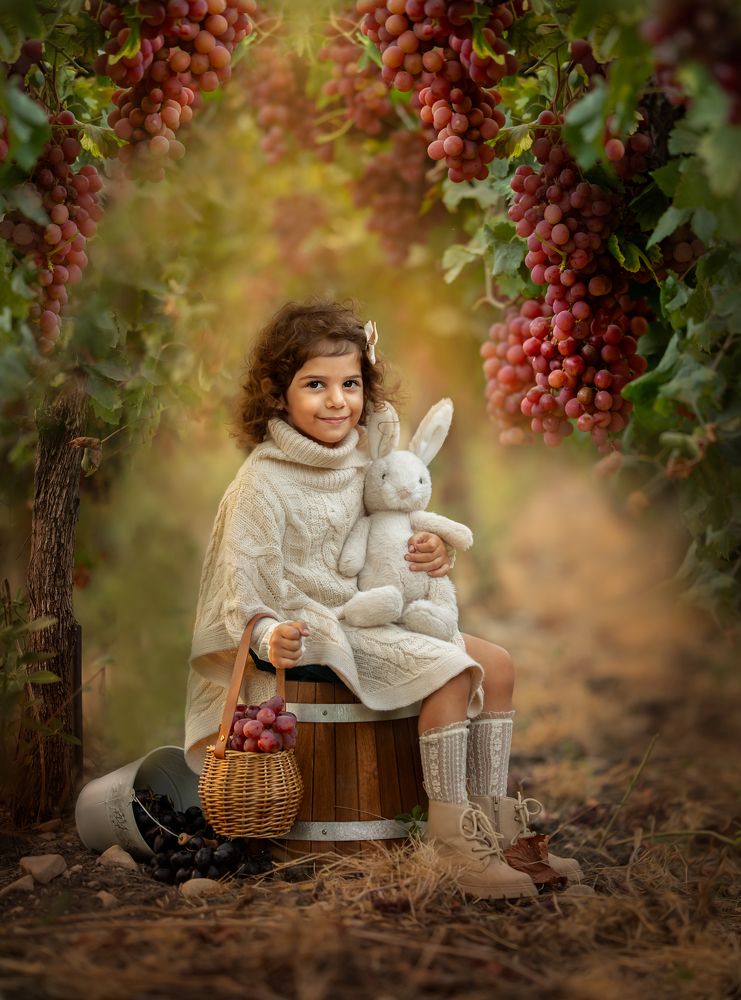 Photograph by Hamutal Avioz