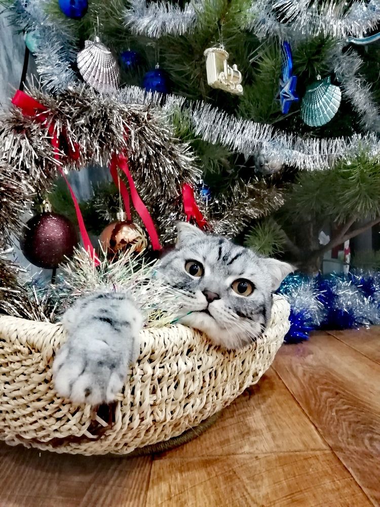 Photograph by Рината Загидуллина