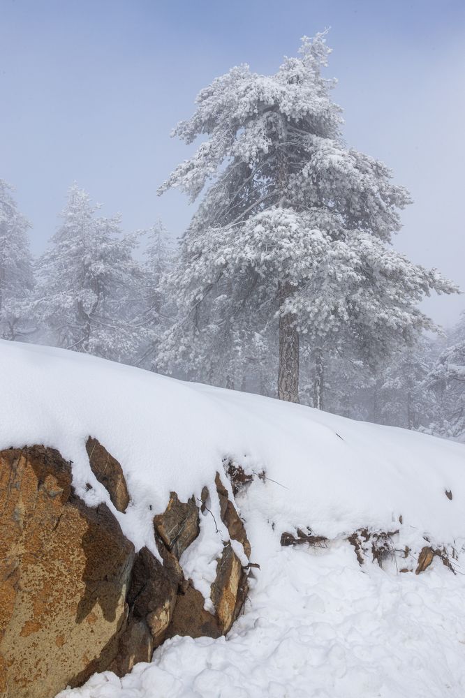 Photograph by Калинин Игорь