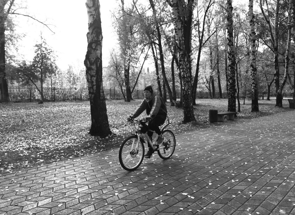 Photograph by лиля бутымова