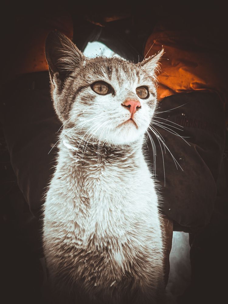 Photograph by Faizan Meer