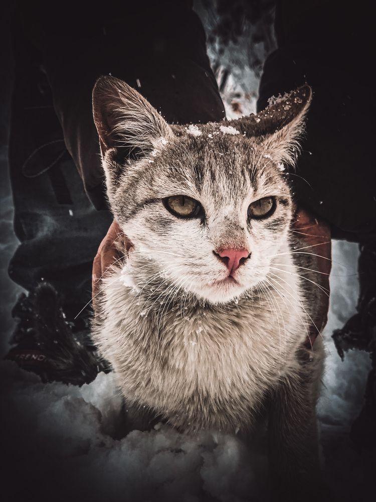 Photograph by Faizan Meer