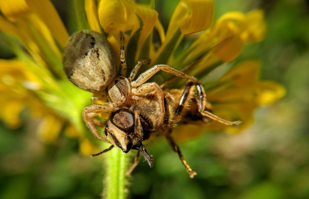 Photograph by Дмитрий Леонтенко