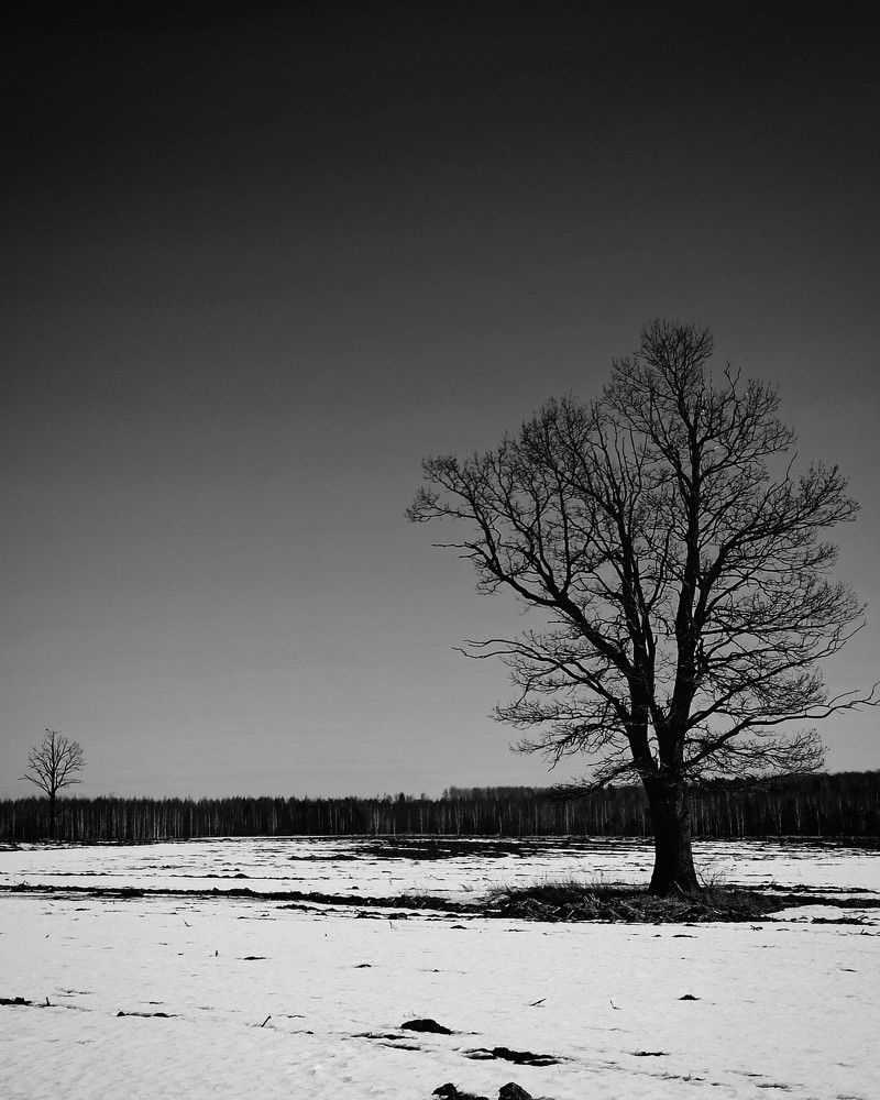 Photograph by Halina Mitsevich