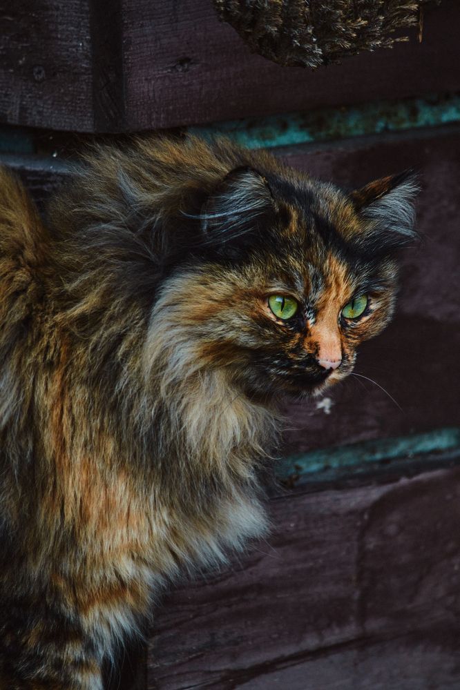 Photograph by Софья Гелевера