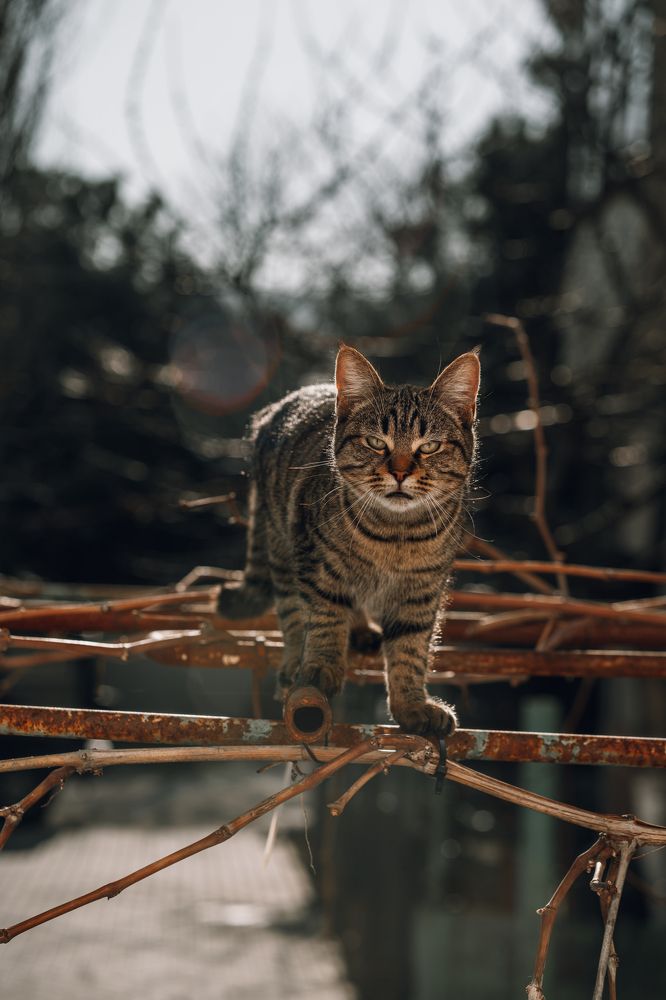 Photograph by Ксения Часова