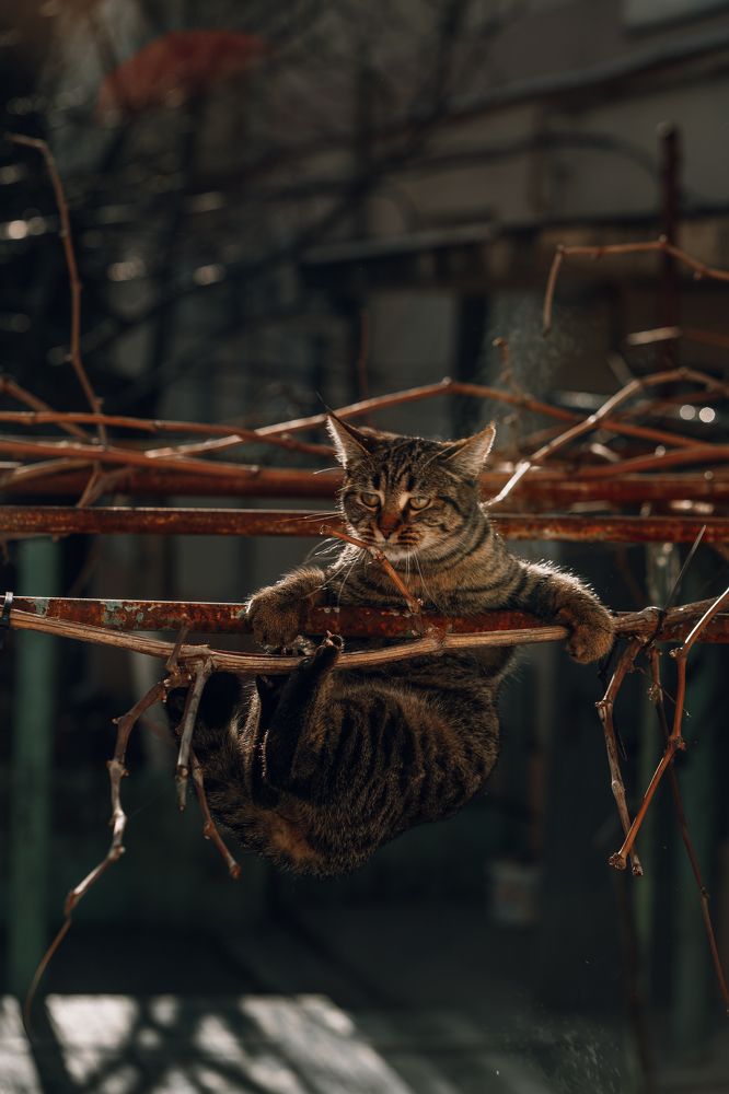 Photograph by Ксения Часова