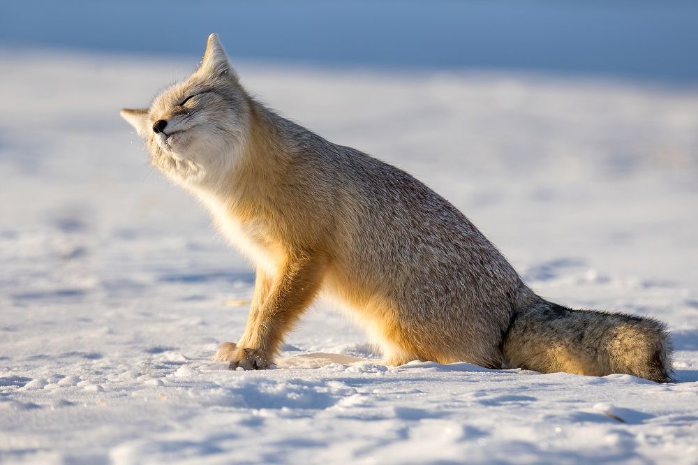 Photograph by Дина Нестеркова