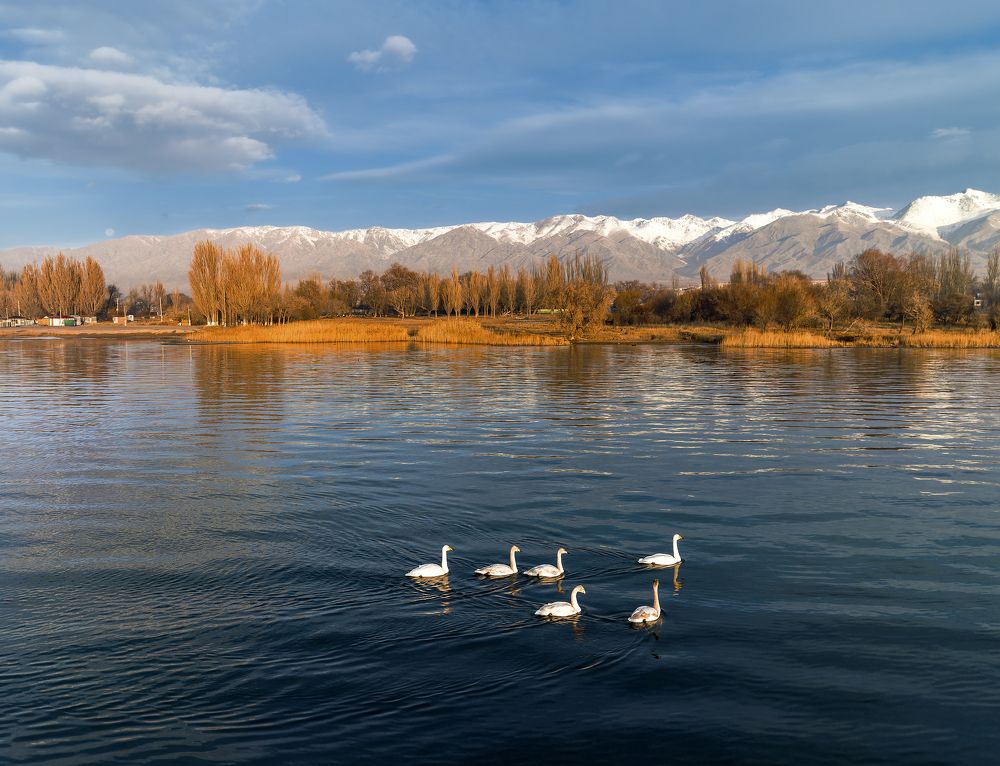 Photograph by Igor Yurkin