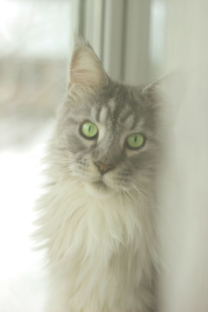 Сама нежность