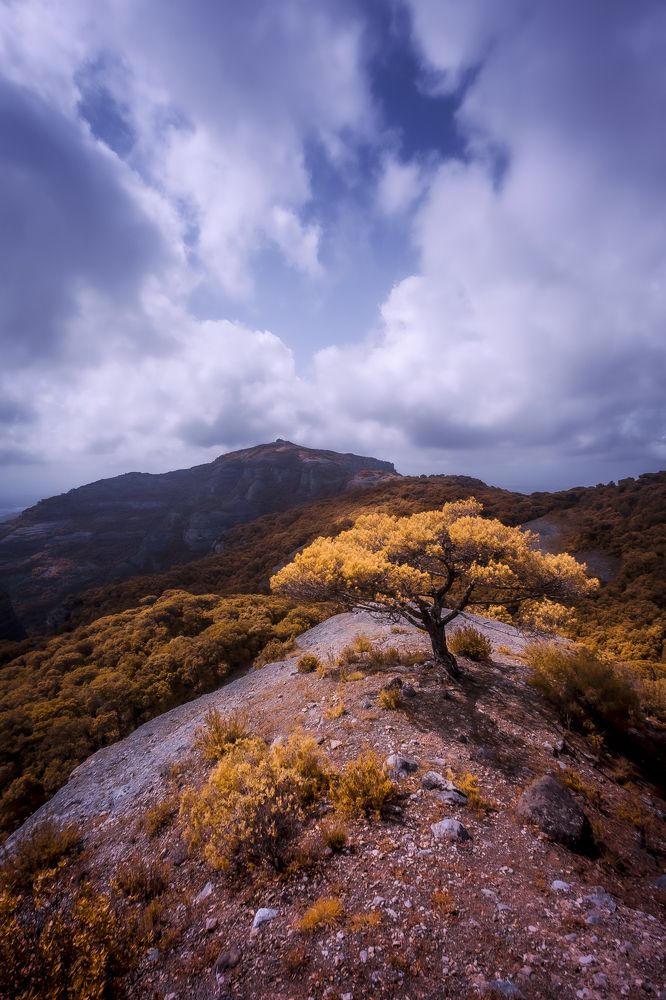 Photograph by Marc del Piro