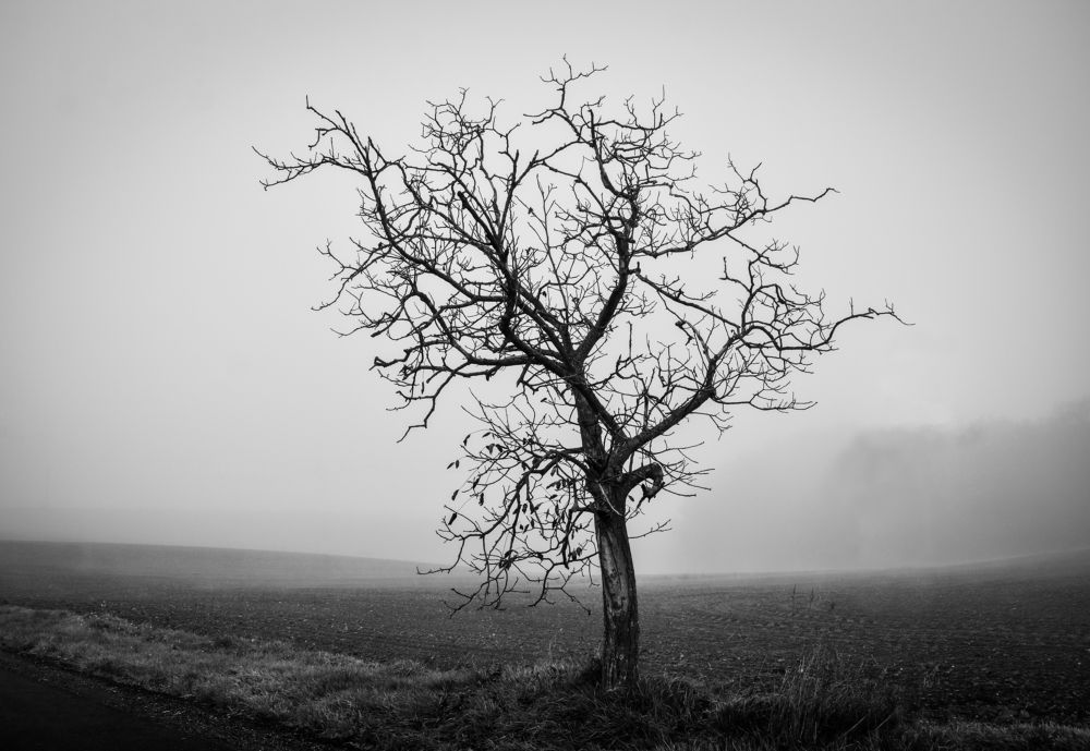 Photograph by Kinga Herczeg