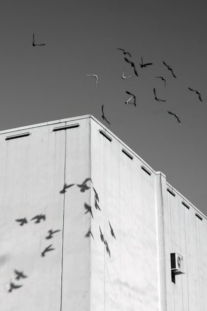 Photograph by Роман Однорал