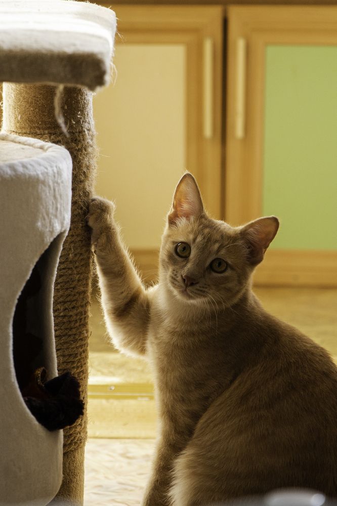 Photograph by Артем Архипов