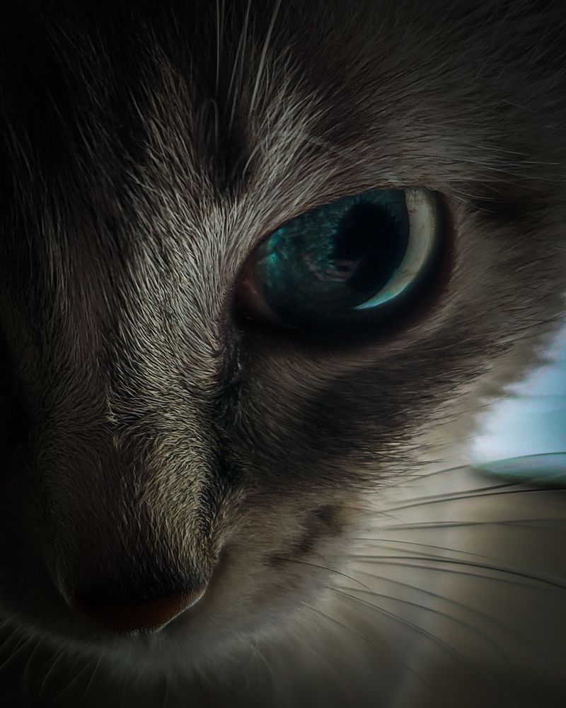 Photograph by Александра Петрова