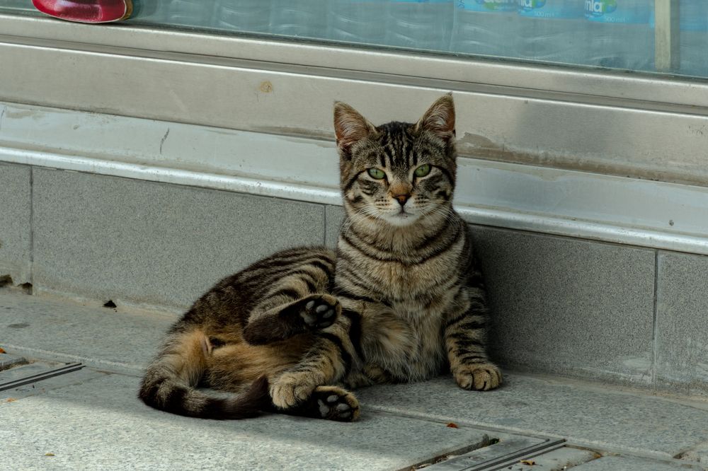 Photograph by Алексей Алексеев