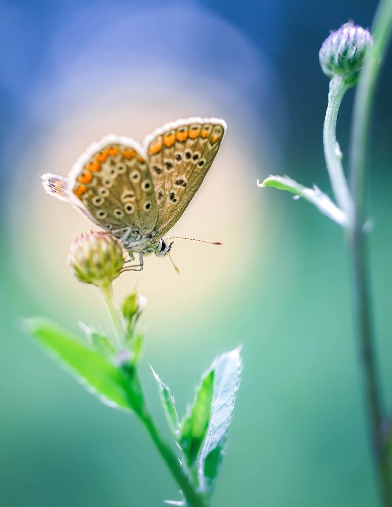 Photograph by Patryk George