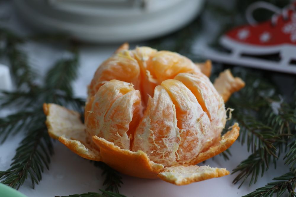 Photograph by Елена Петелина