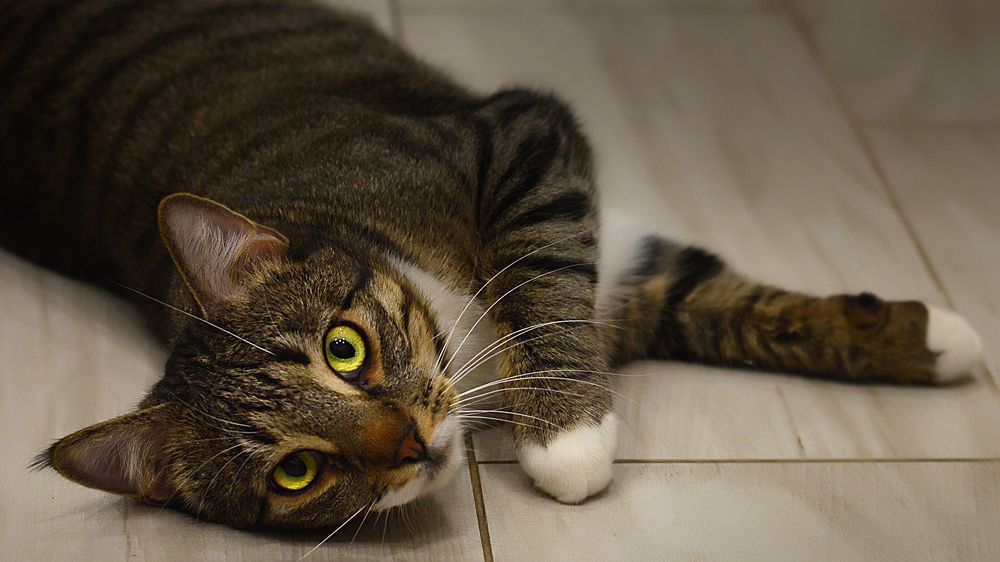 Photograph by Алексей Парамонов