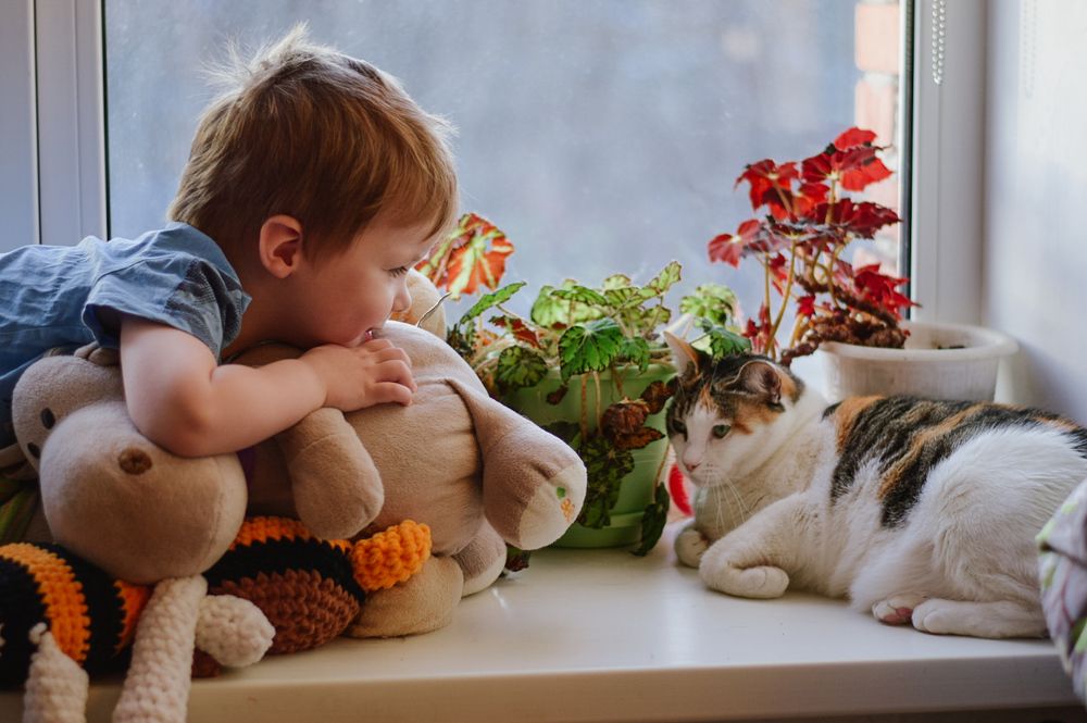 Photograph by Ксения Евгеньевна Коржнева