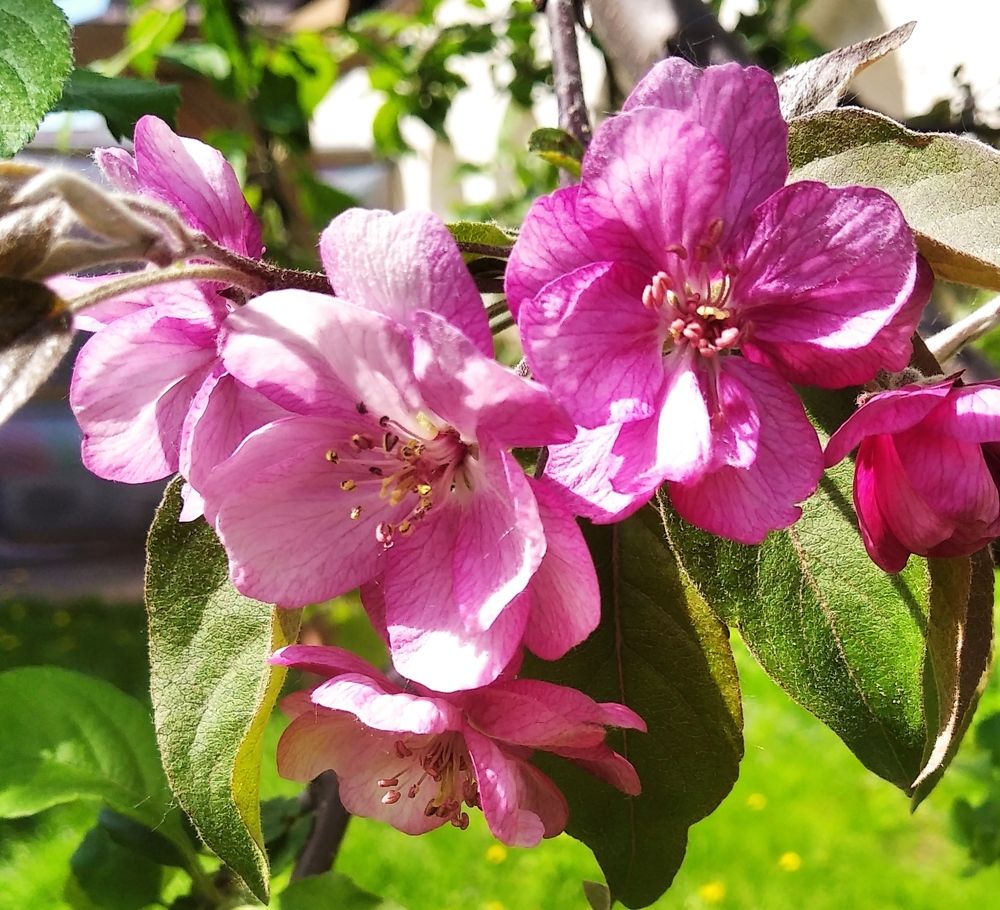 Photograph by Анна Виноградова