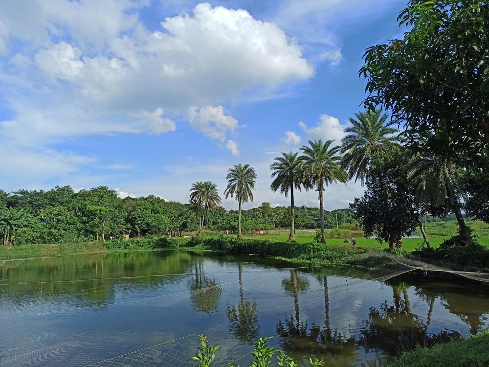 Photograph by Hasan Jahid